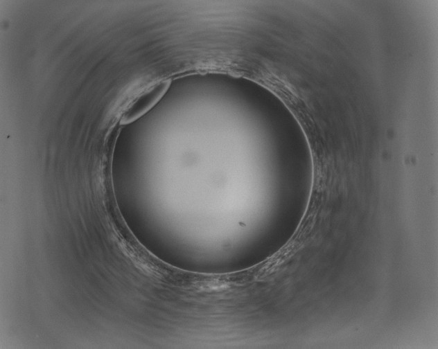 X0000074040098200608281454