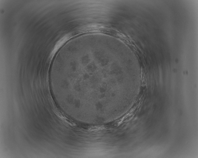 X0000074040099200608281454