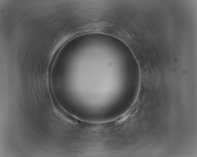 X0000074040100200608281454