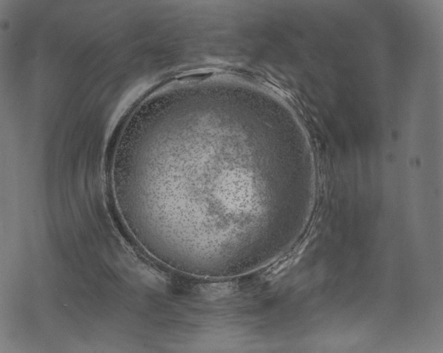 X0000074040102200608281454