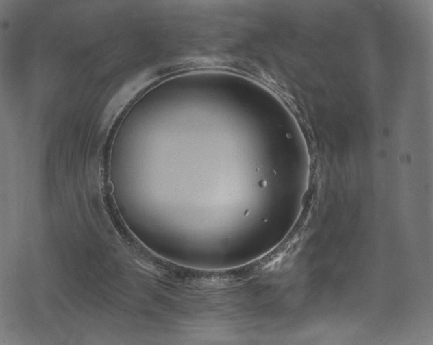 X0000074040103200608281454