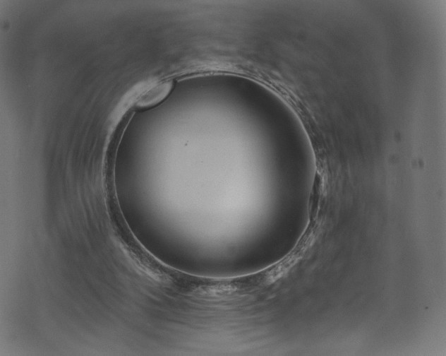 X0000074040104200608281454