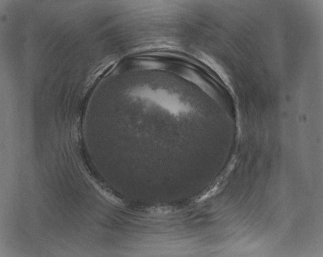 X0000074040105200608281454