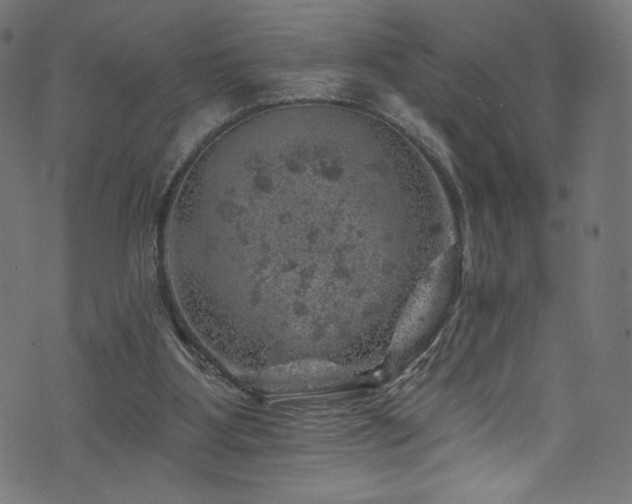 X0000074040107200608281454