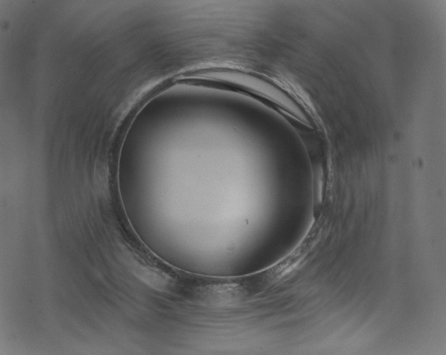 X0000074040108200608281454