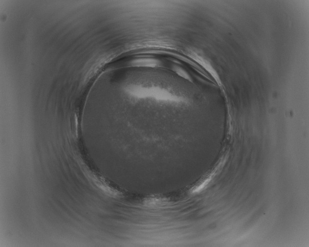 X0000074040109200608281454