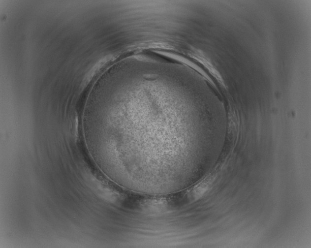 X0000074040110200608281454