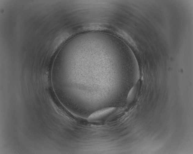 X0000074040111200608281454