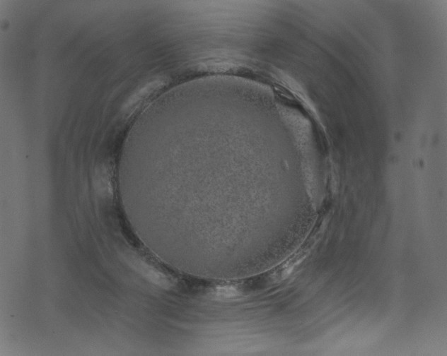 X0000074040114200608281454