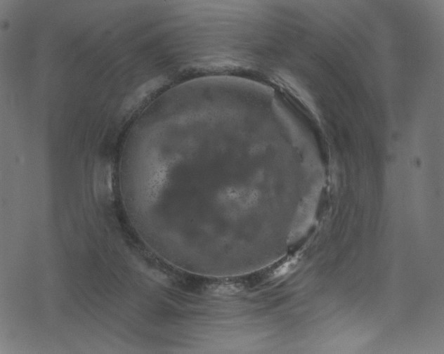 X0000074040115200608281454