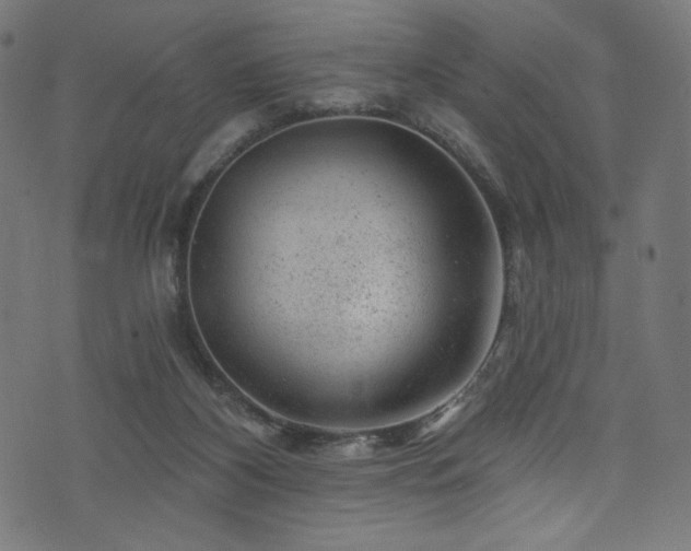 X0000074040116200608281454