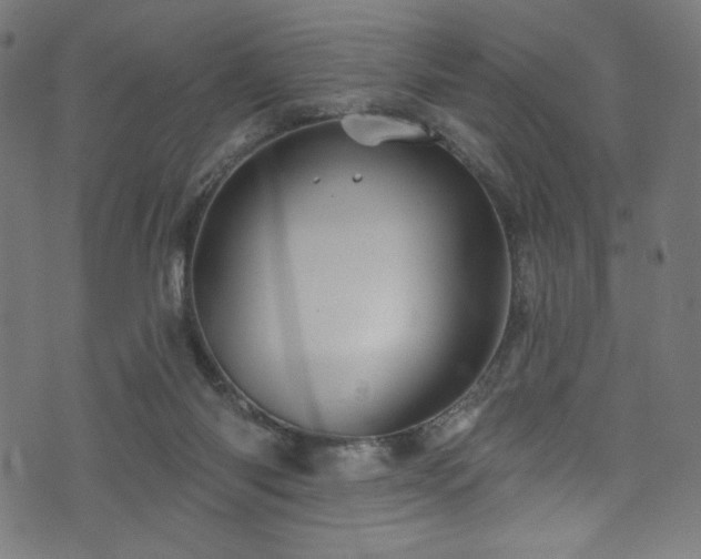 X0000074040118200608281454