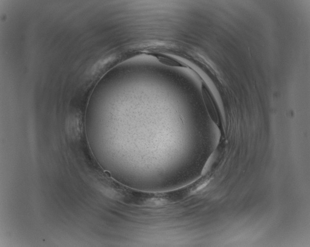 X0000074040119200608281454