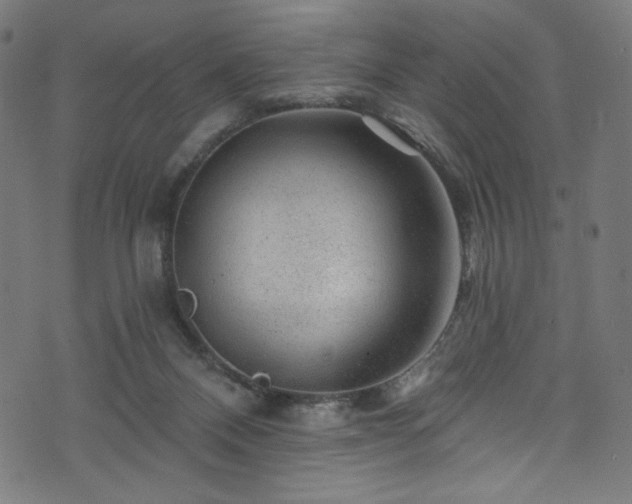 X0000074040120200608281454