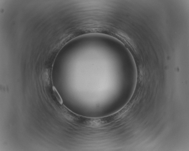 X0000074040121200608281454