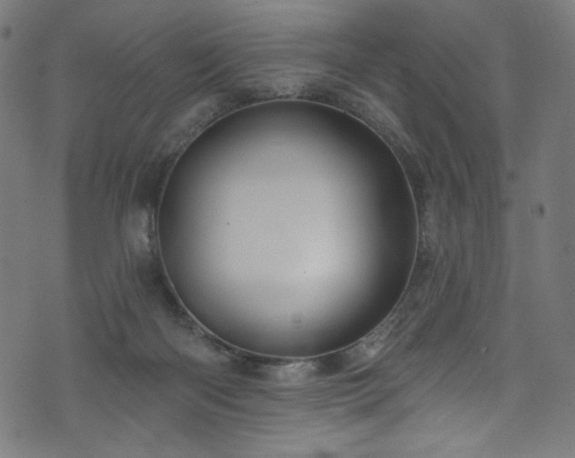 X0000074040122200608281454