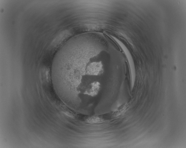 X0000074040123200608281454