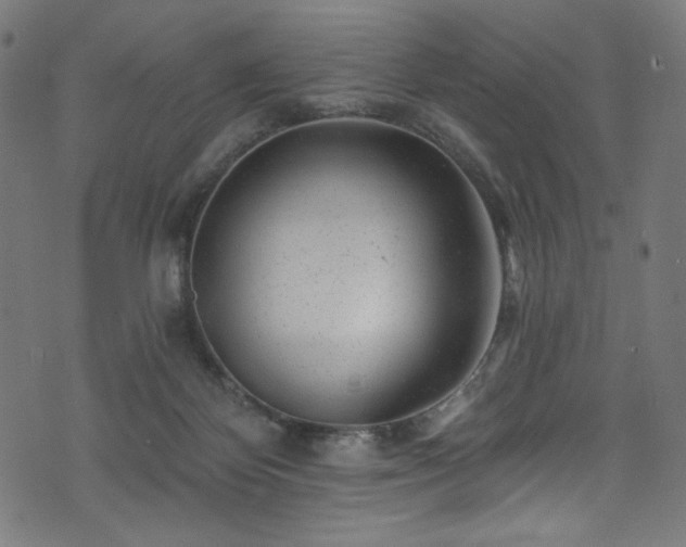 X0000074040124200608281454