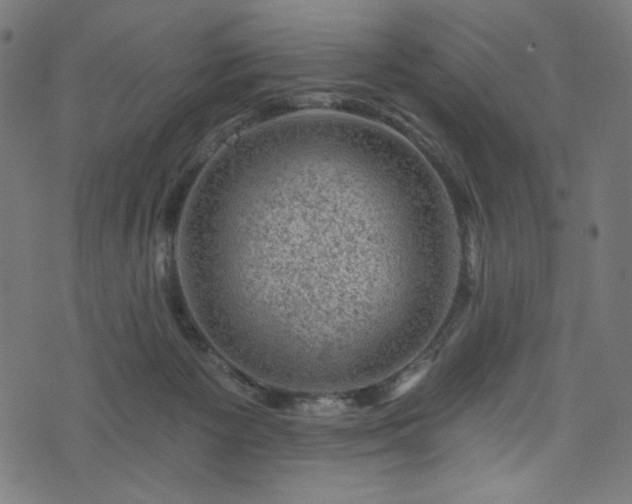 X0000074040125200608281454