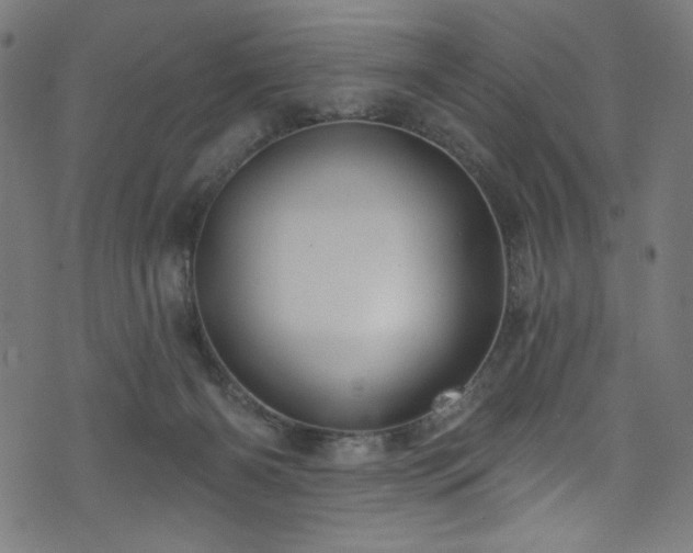 X0000074040126200608281454