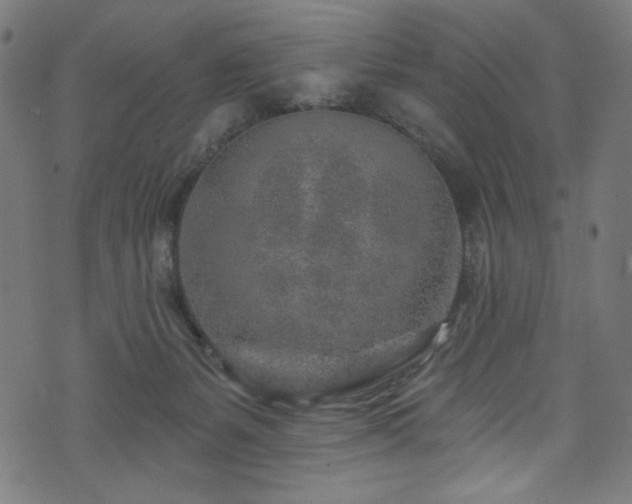 X0000074040127200608281454