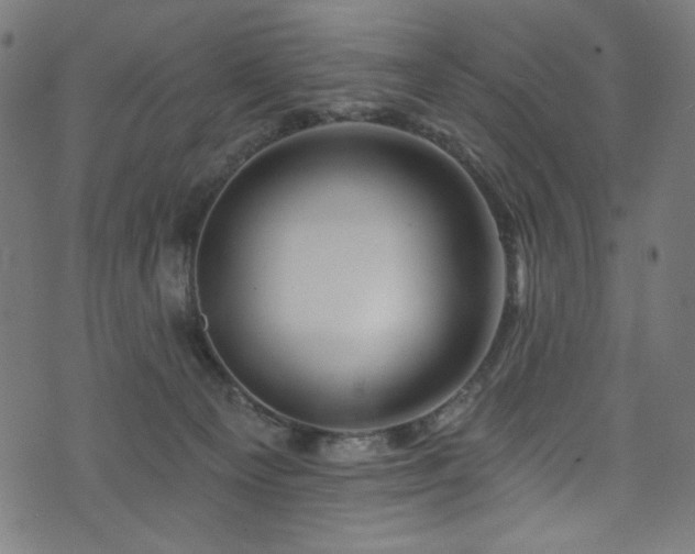 X0000074040129200608281454