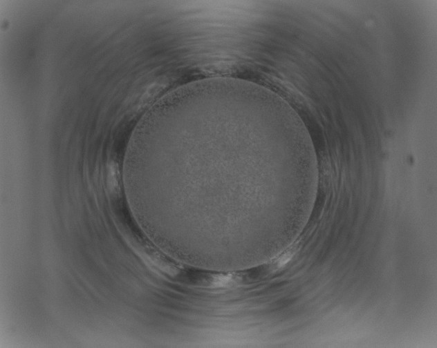 X0000074040130200608281454