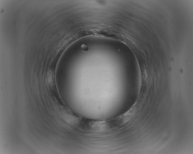 X0000074040132200608281454