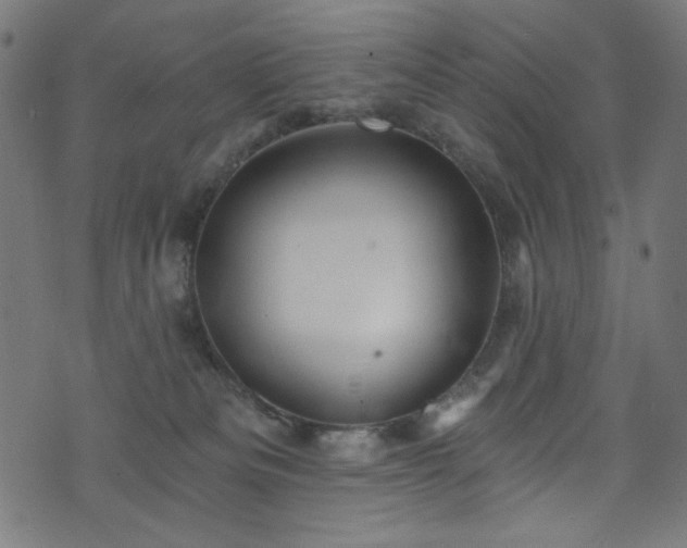 X0000074040133200608281454