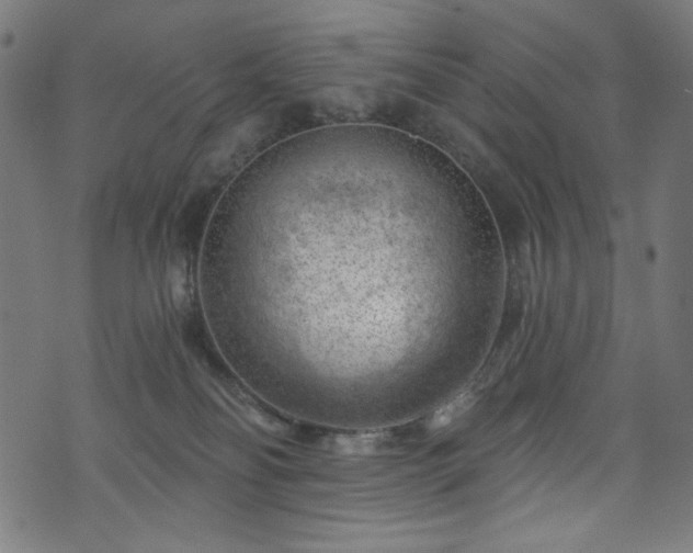 X0000074040134200608281454