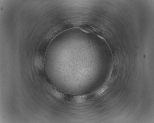 X0000074040136200608281454