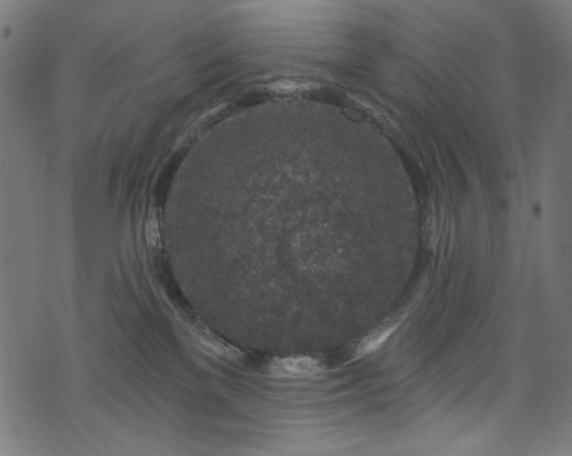 X0000074040137200608281454