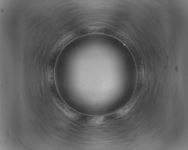 X0000074040138200608281454