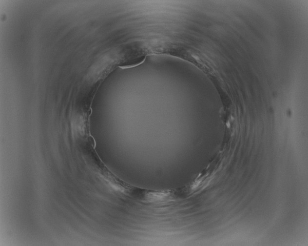 X0000074040139200608281454