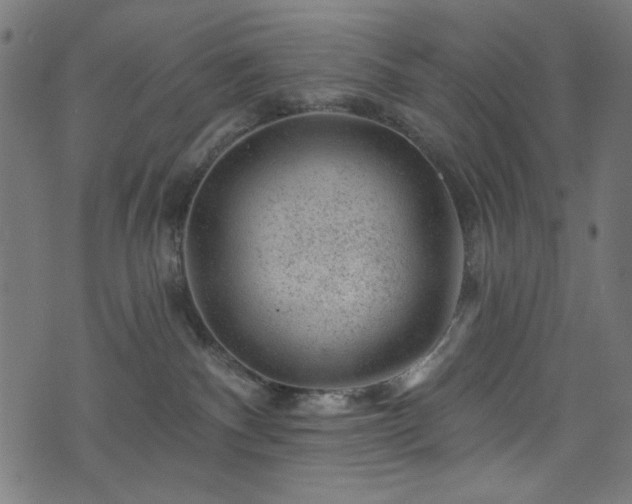 X0000074040140200608281454