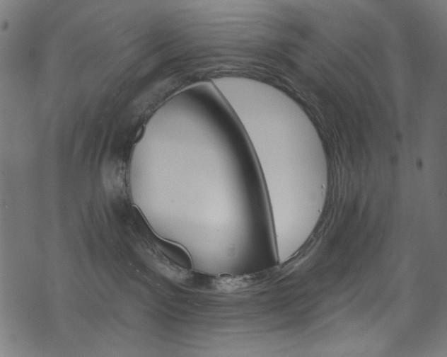 X0000074040141200608281454