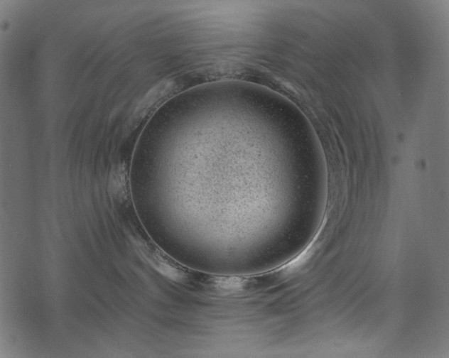 X0000074040144200608281454