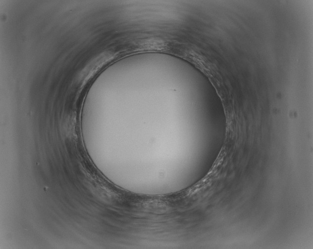 X0000074040146200608281453