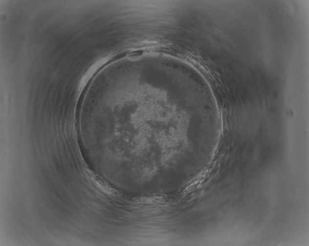 X0000074040147200608281453