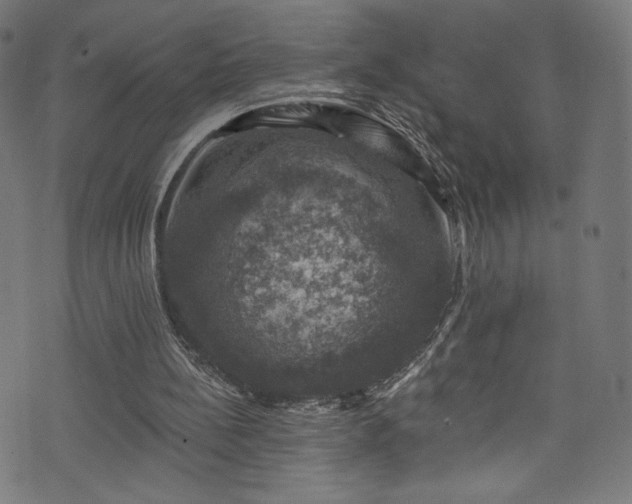 X0000074040148200608281453