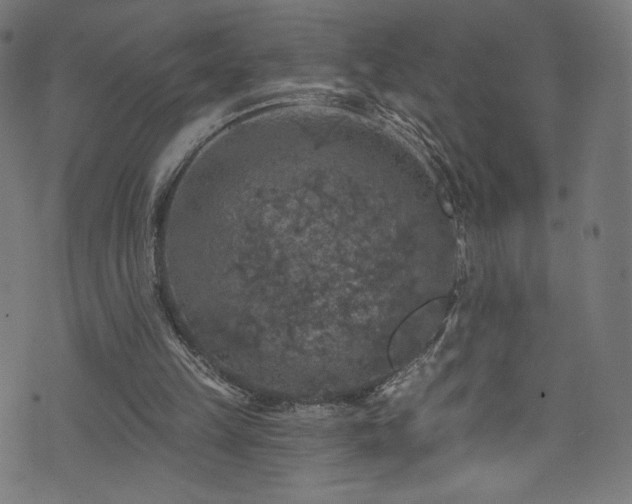 X0000074040149200608281453