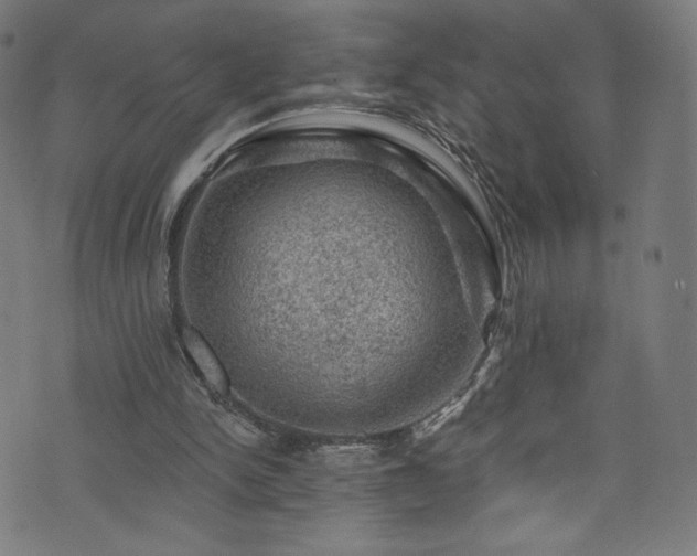 X0000074040150200608281453