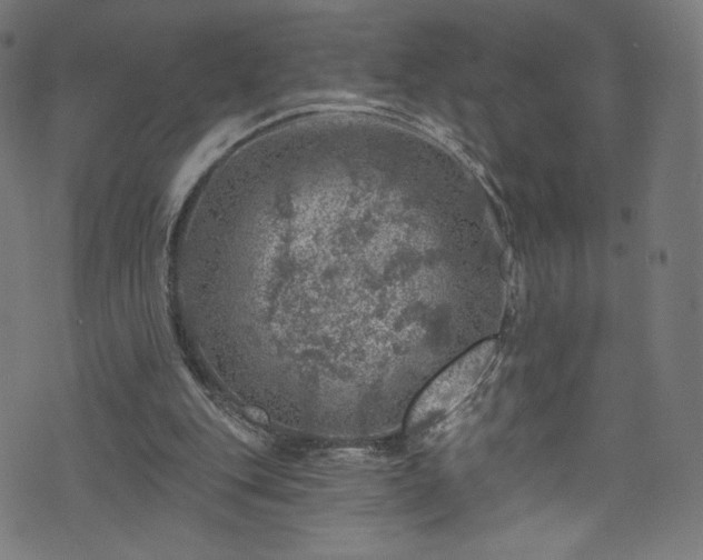 X0000074040151200608281453