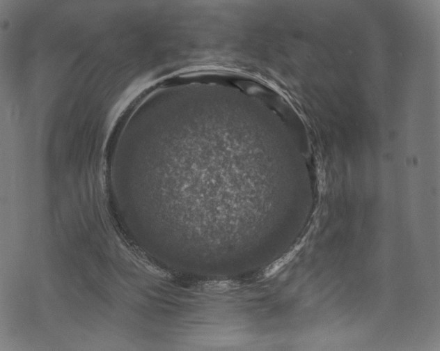 X0000074040152200608281453