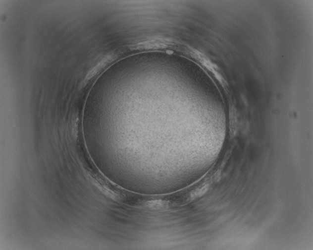 X0000074040153200608281453