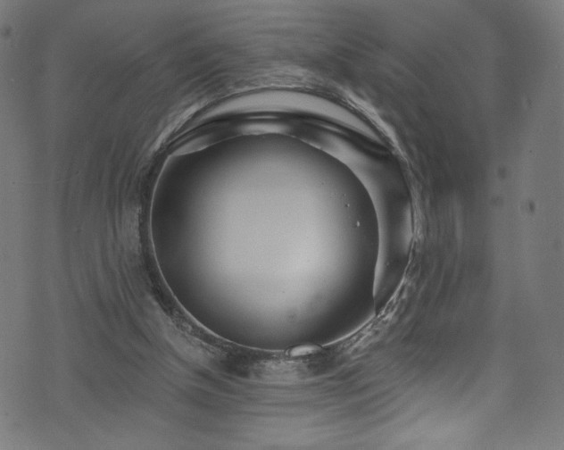 X0000074040154200608281453