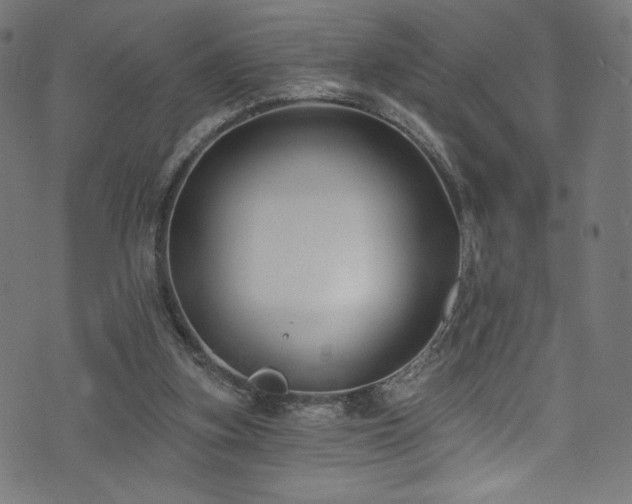 X0000074040155200608281453