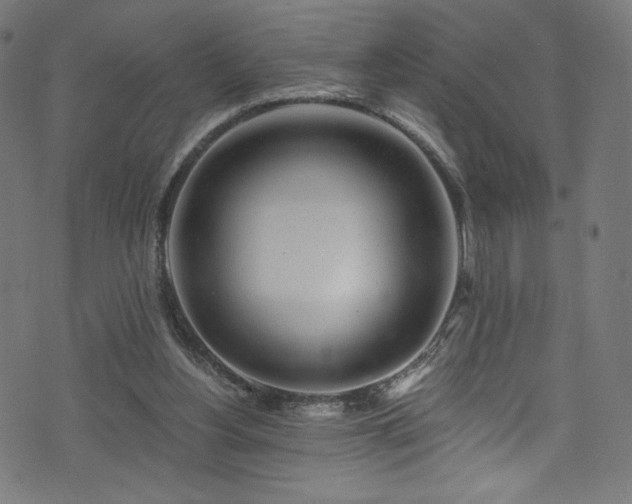 X0000074040156200608281453