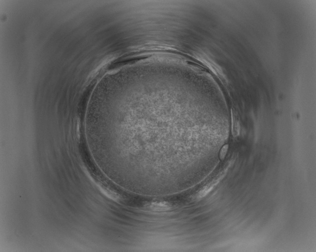 X0000074040157200608281453