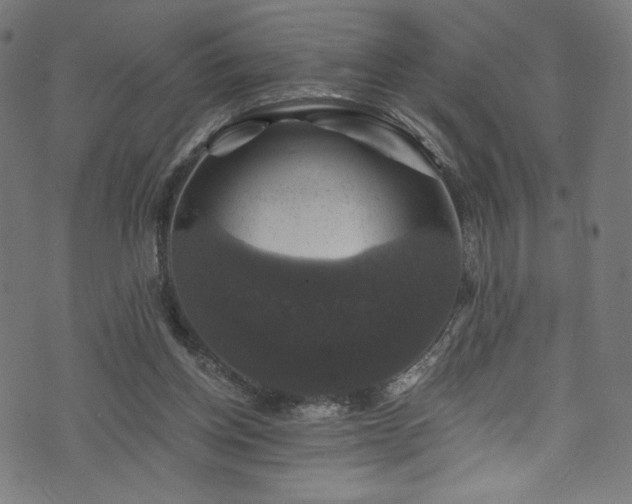 X0000074040158200608281453